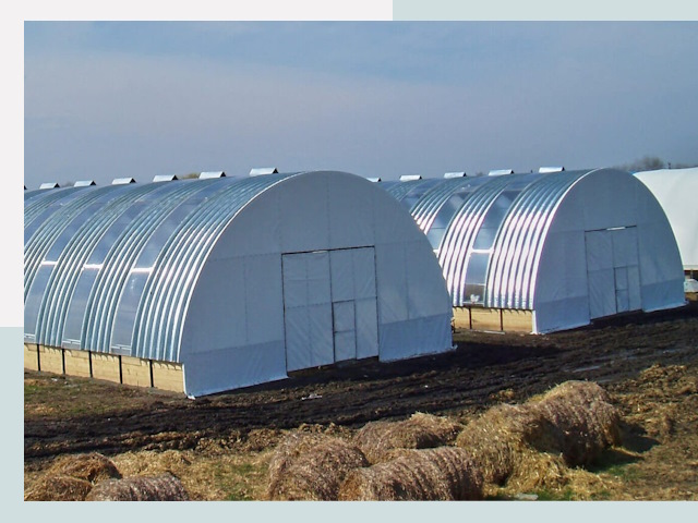 Сельскохозяйственные здания в Саранске