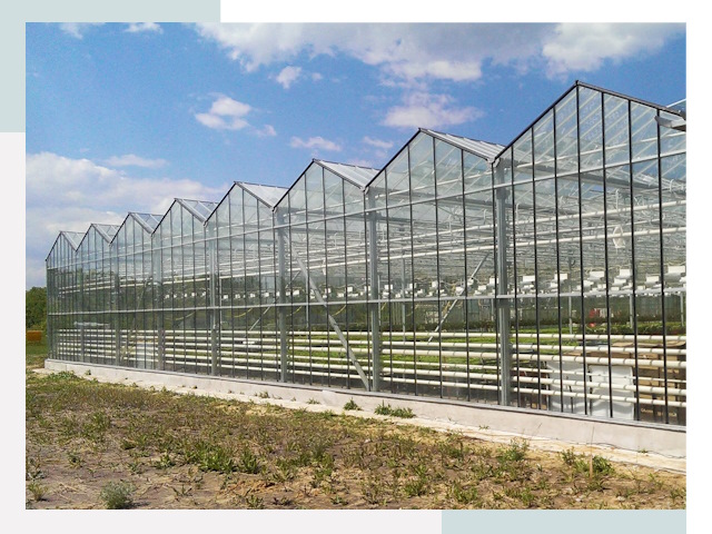 Строительство теплиц в Саранск от 632 руб. за м²